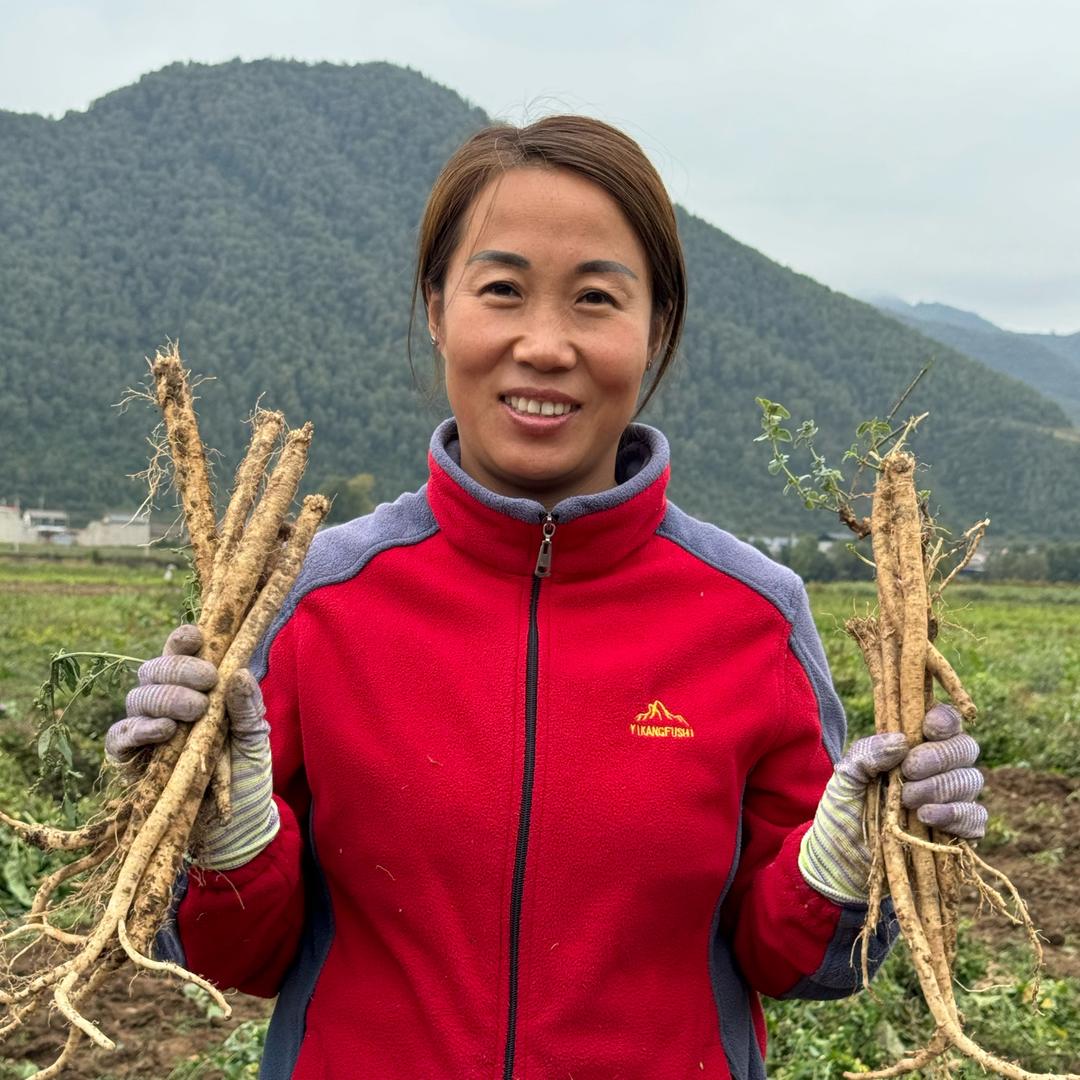 岷县归芪滋补养生堂