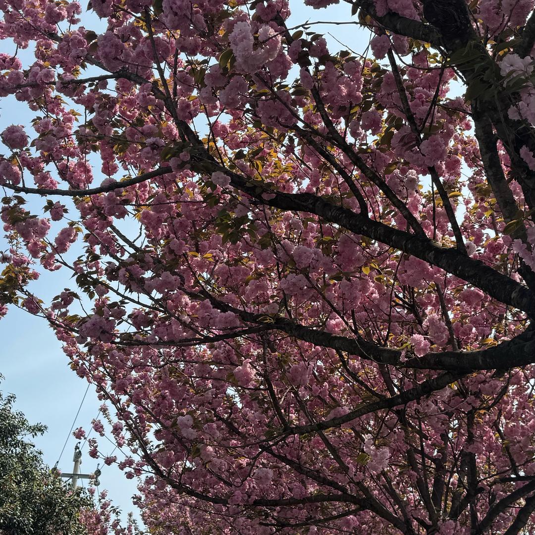 小小陈
