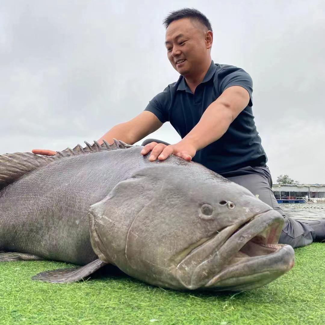 李志刚钓鱼（渔具精选）