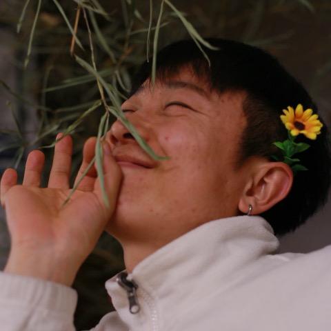 小二学长