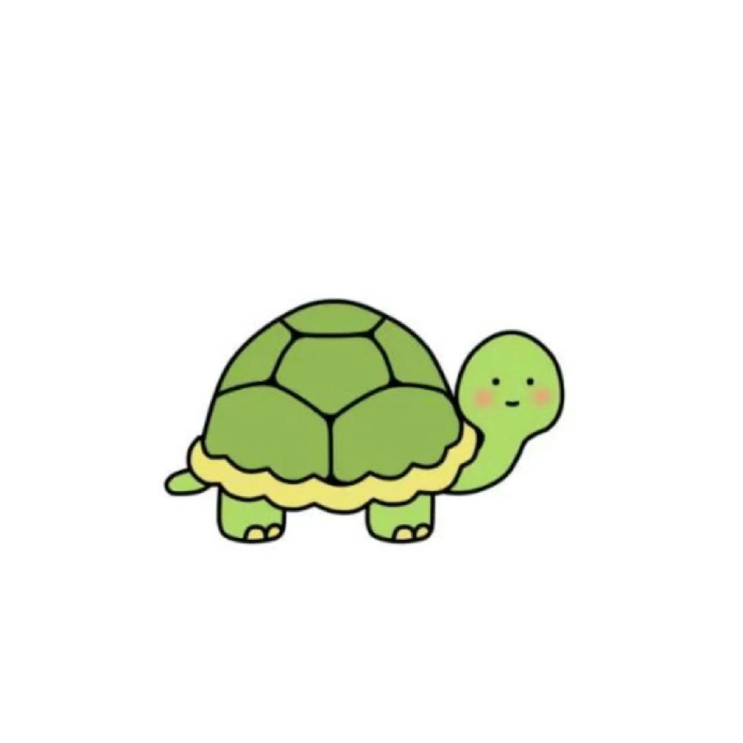 没有双眼皮
