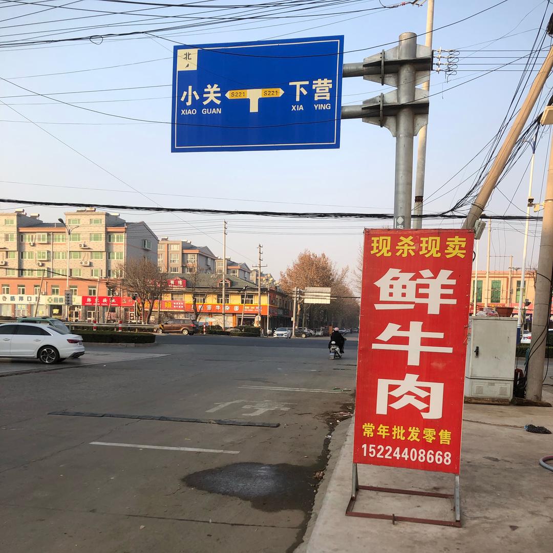 聚源鲜牛肉