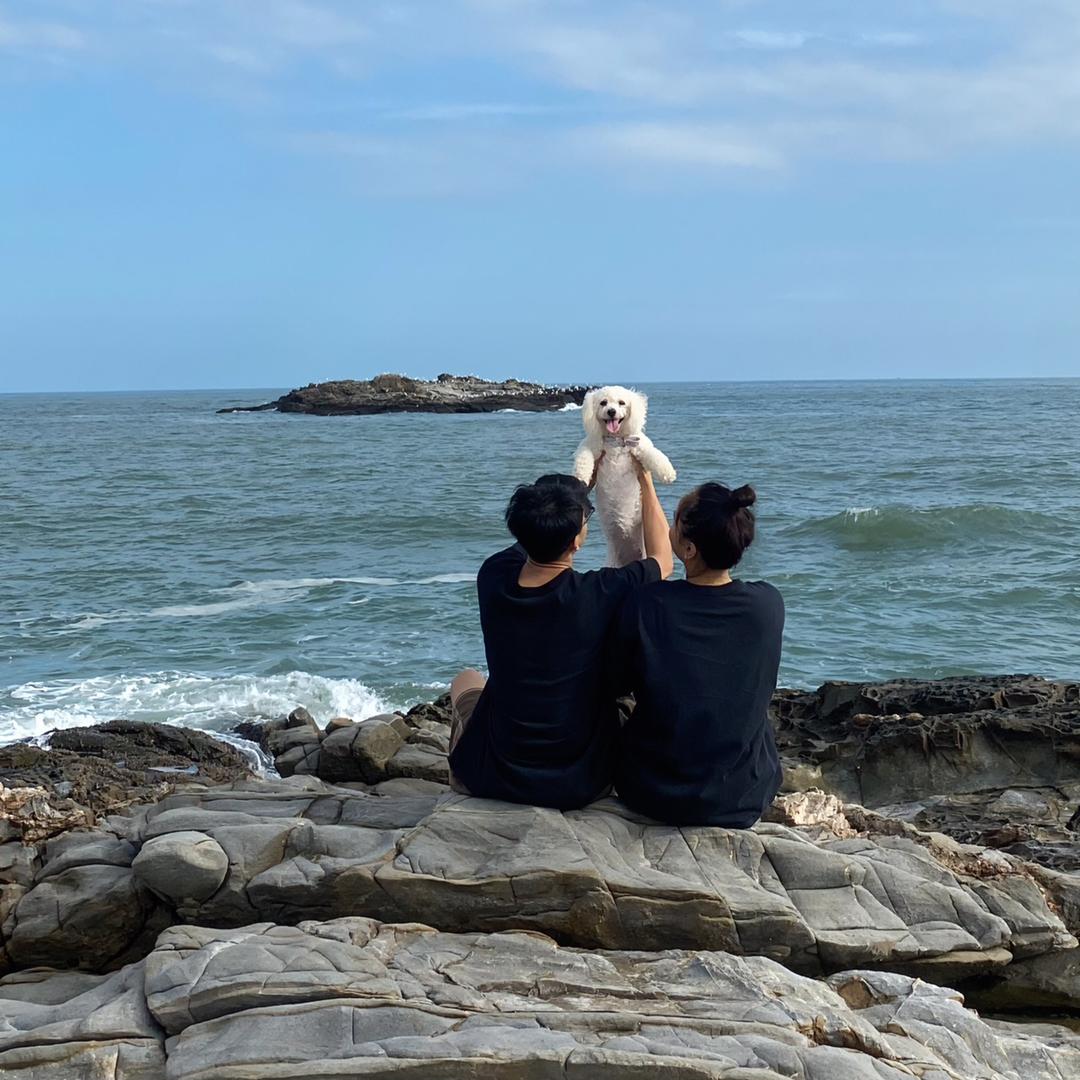 张宠爱高端温馨家庭寄养（东莞）