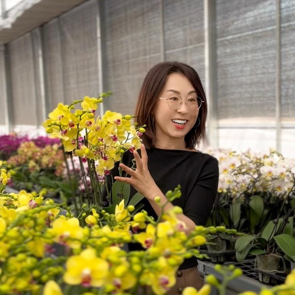 壹心花园