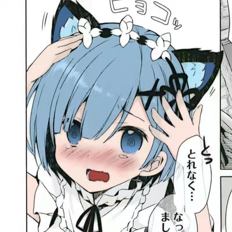 熊熊大王
