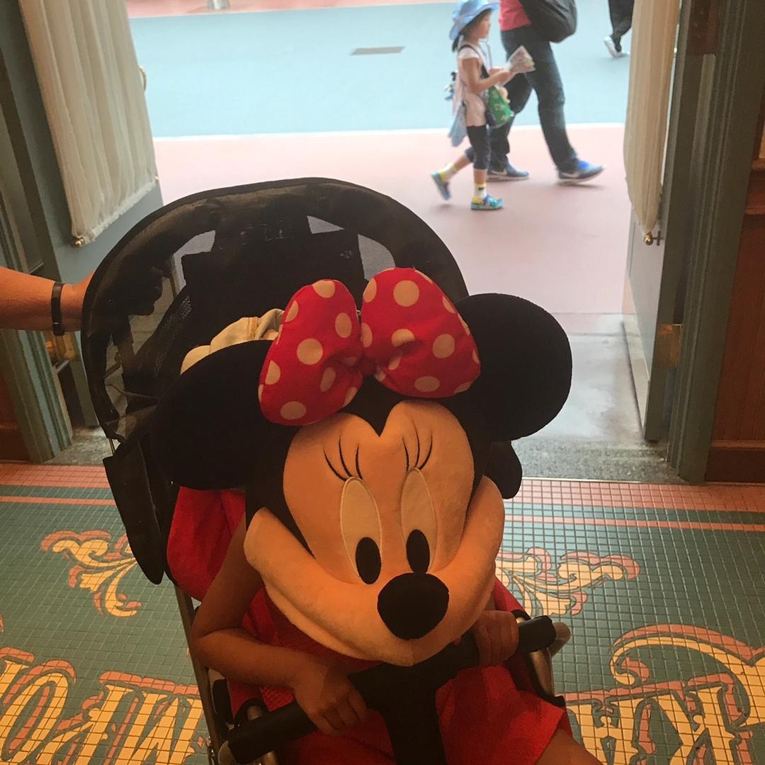 ………………………………………………