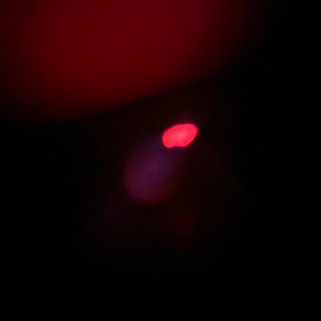 双闪.
