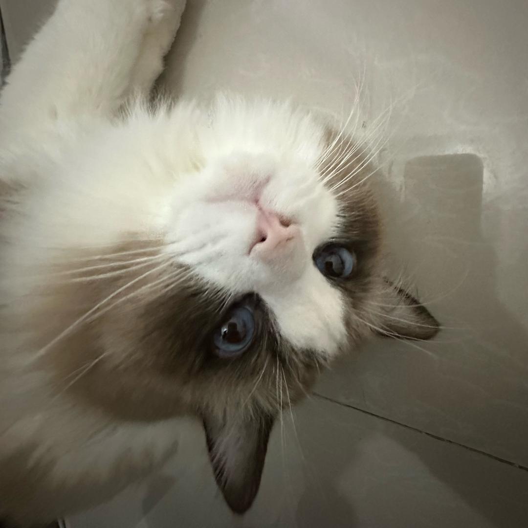 ㅤ  ㅤ  ‍ㅤ