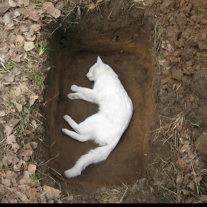 啊七要加油！！！