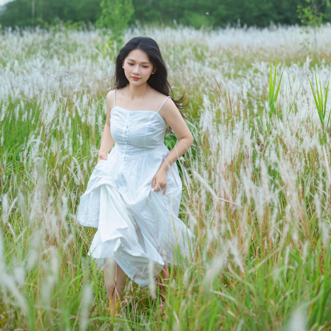 甜白菜