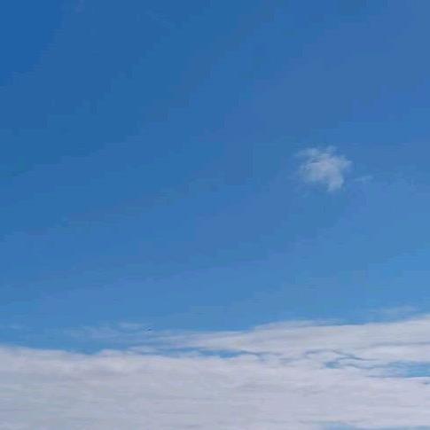 用户36848664987