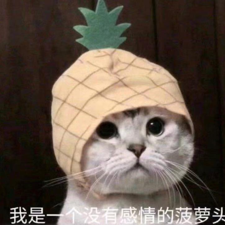 月野兔🌙