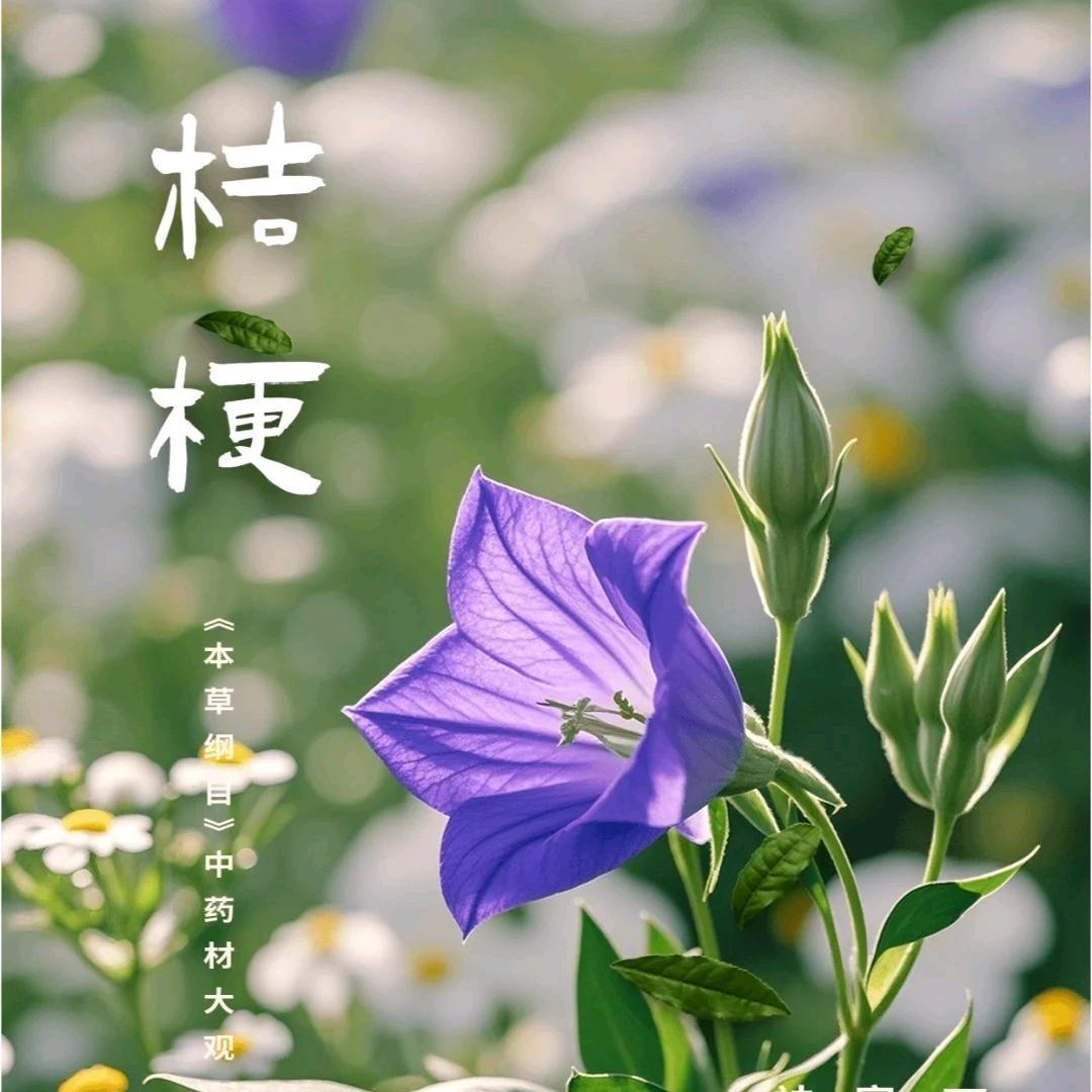 中药材科学管理
