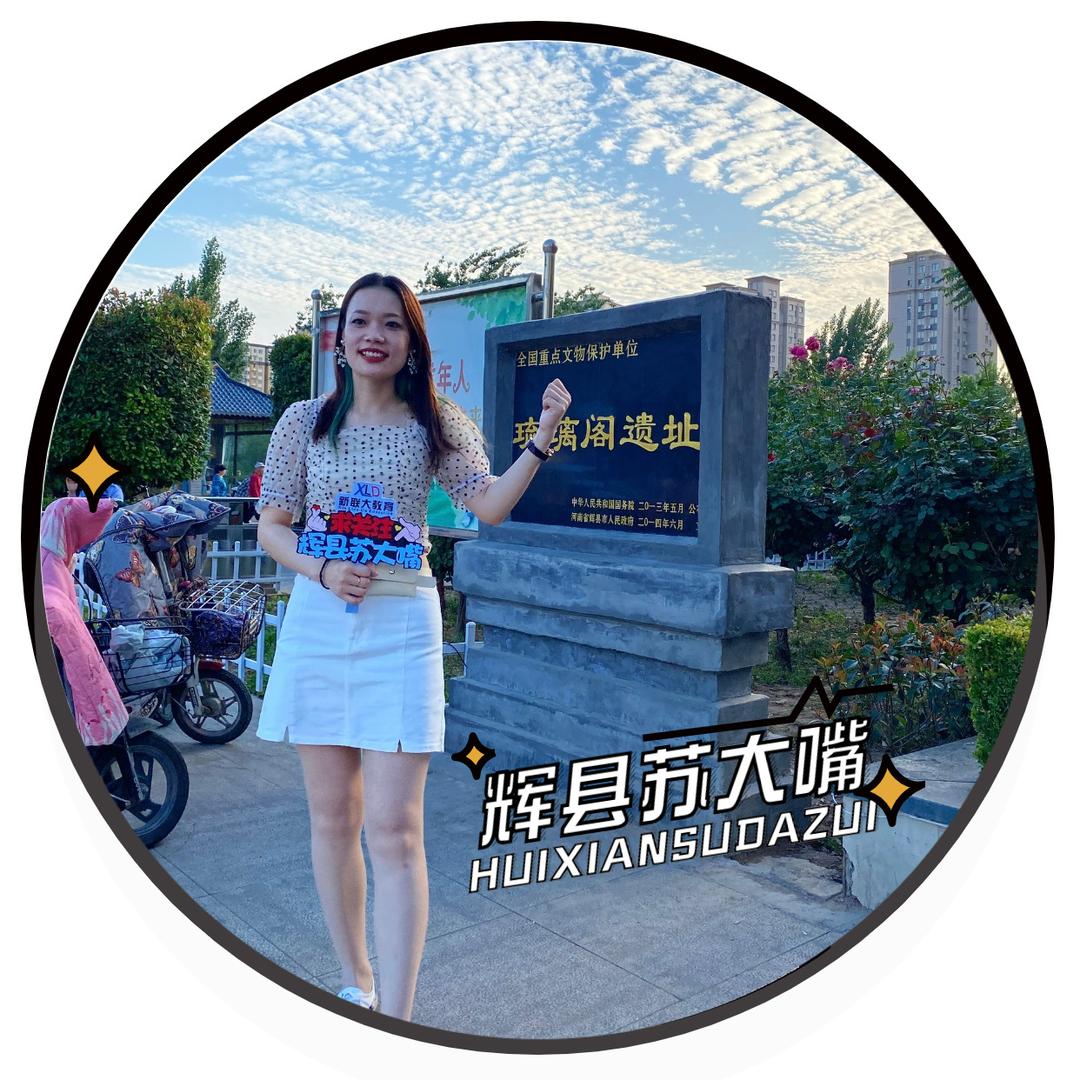 辉县苏大嘴