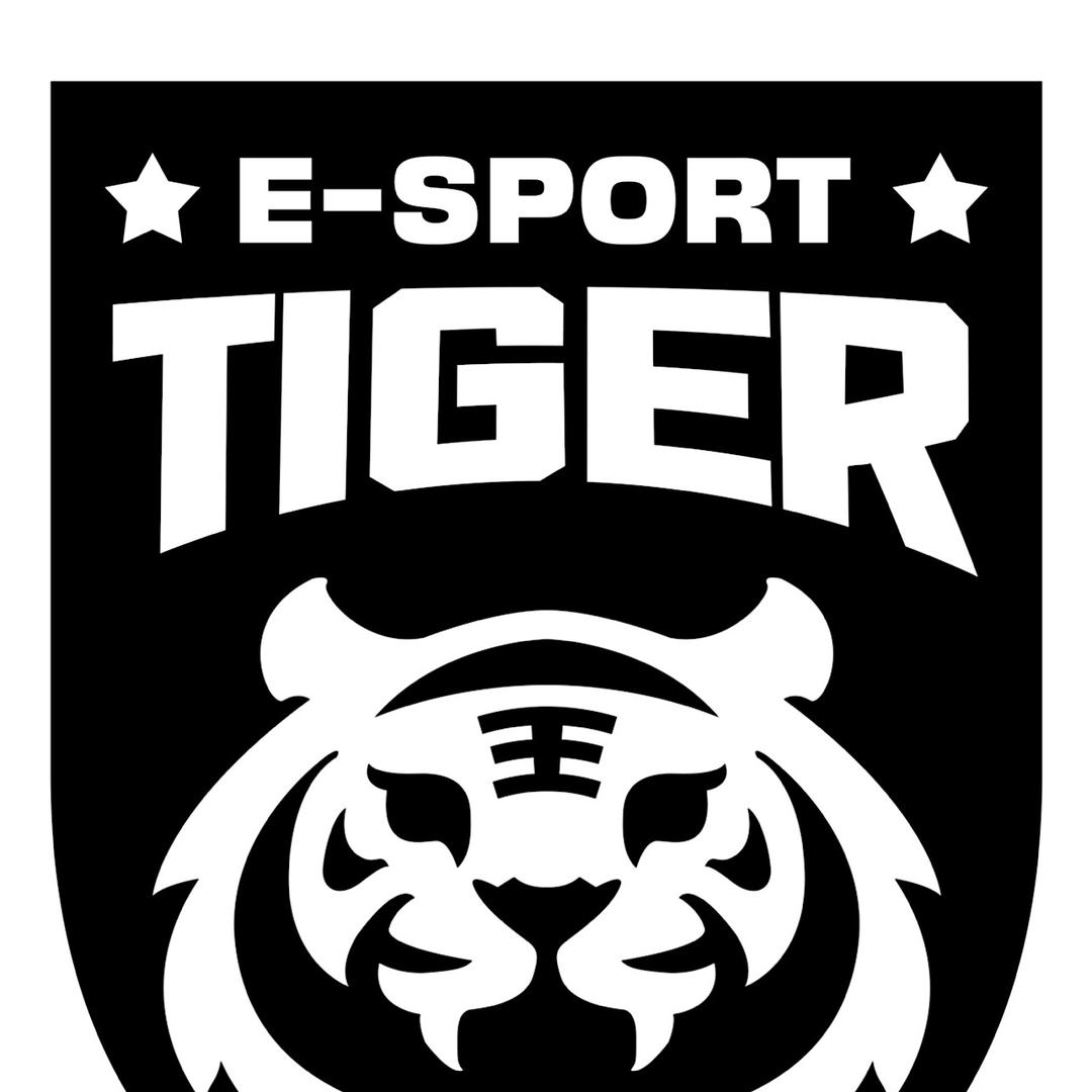 猛虎电竞TG game（三角洲行动）