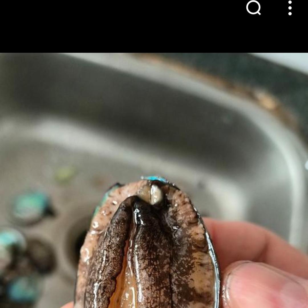 杨帆海鲜臻选店