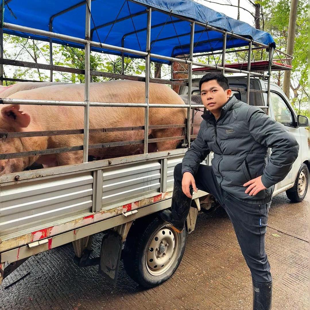 标哥【寻猪记】