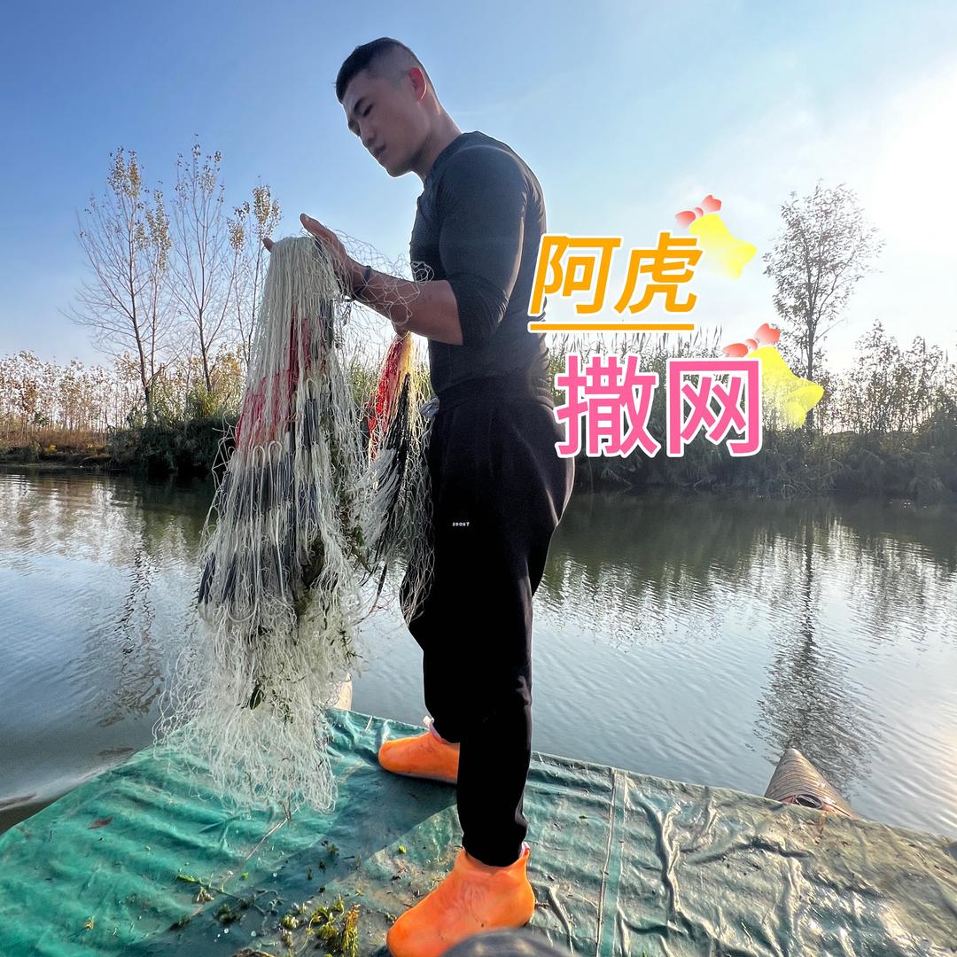 阿虎撒网
