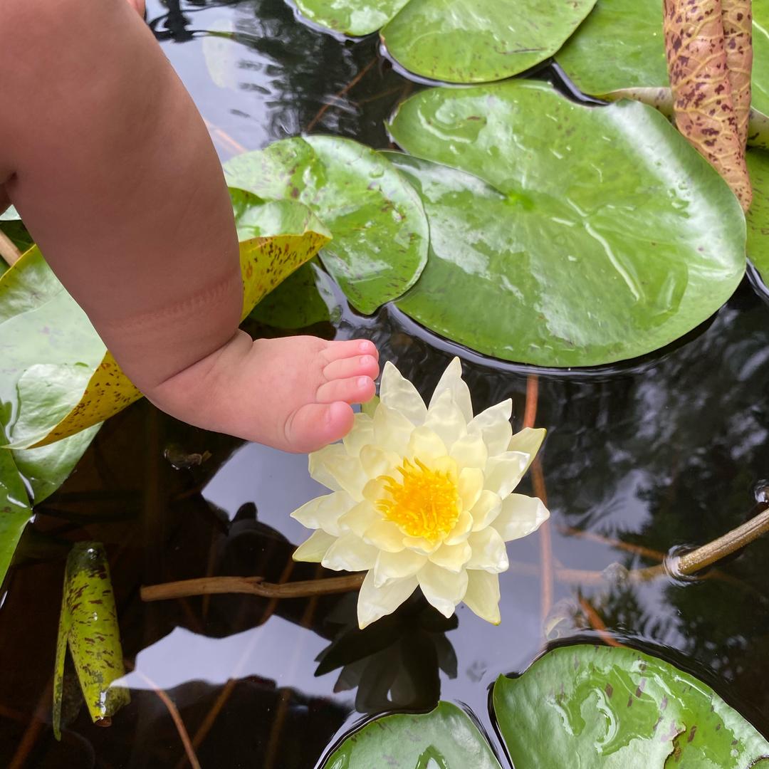 小脚丫👣