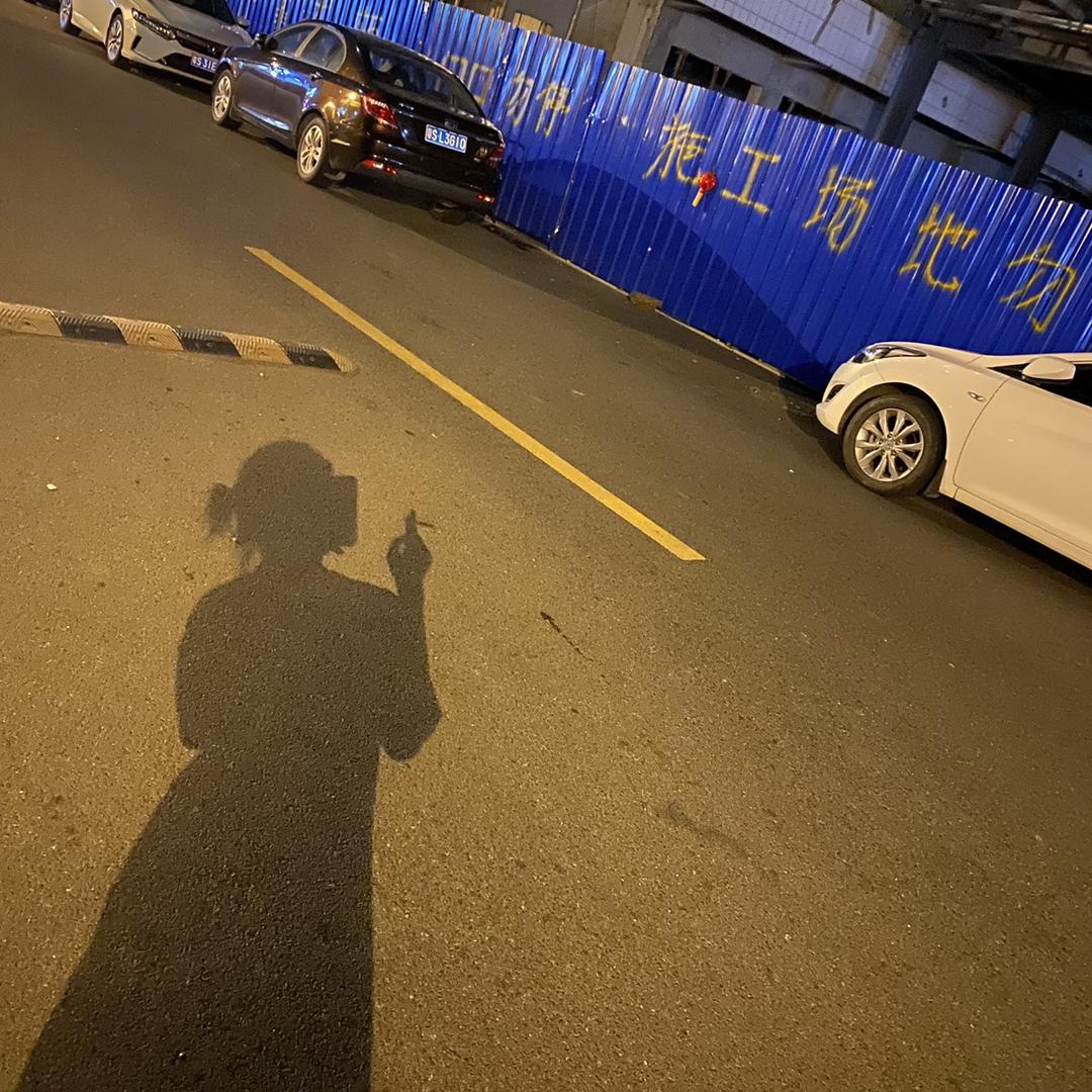 李 佳妮