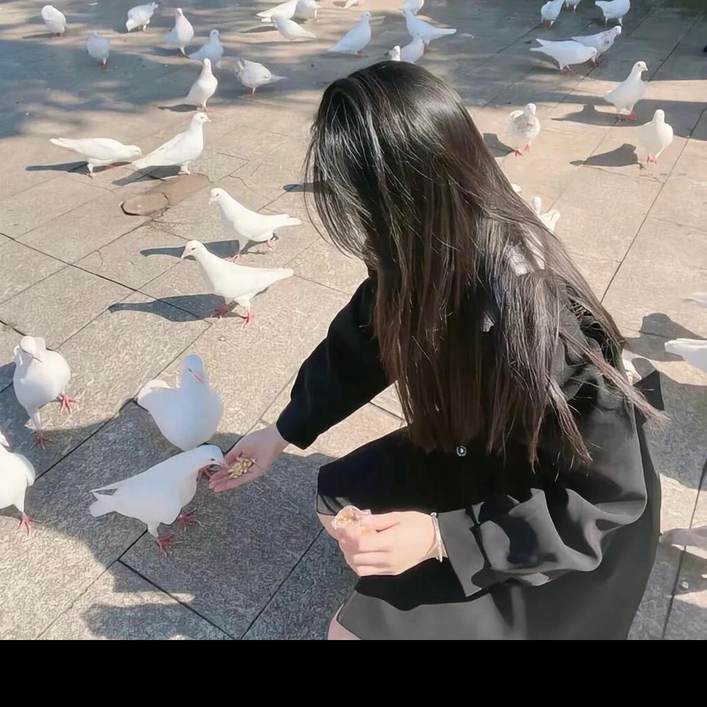 a佳佳小哈