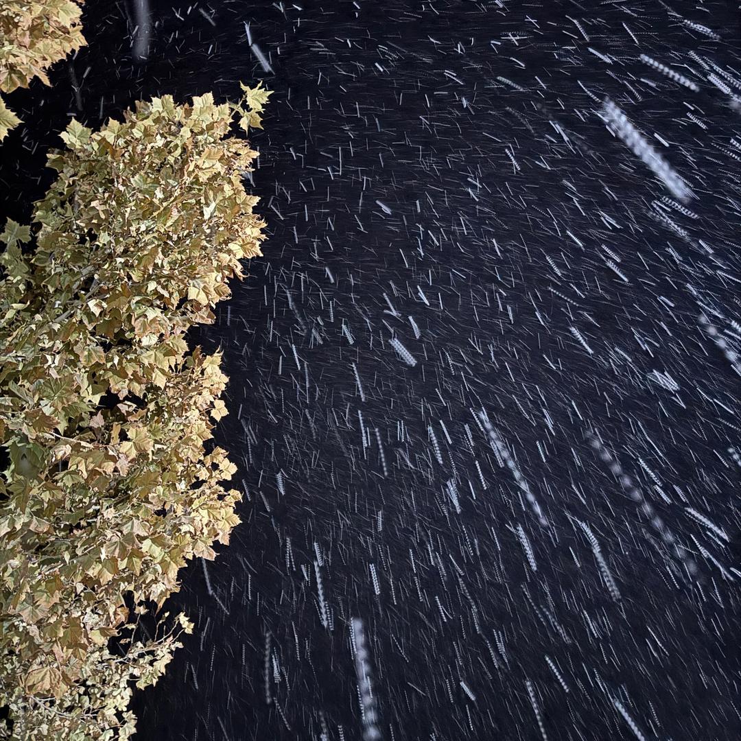 🌧️雨🌧️