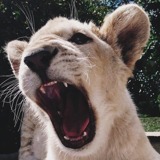 llllllllllllllll
