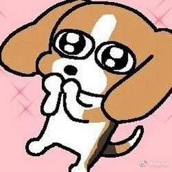 迟钝老轰