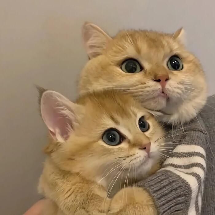 一丢丢可爱