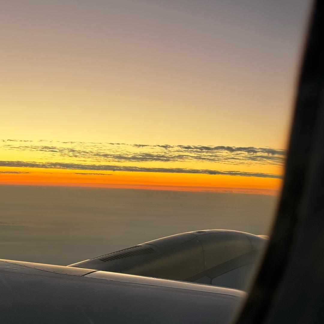 热美式（🦋✨）