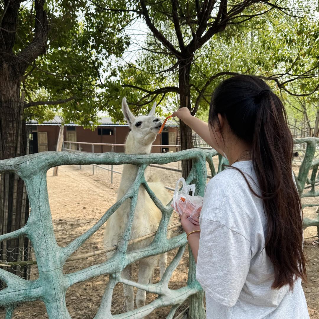 好多壳