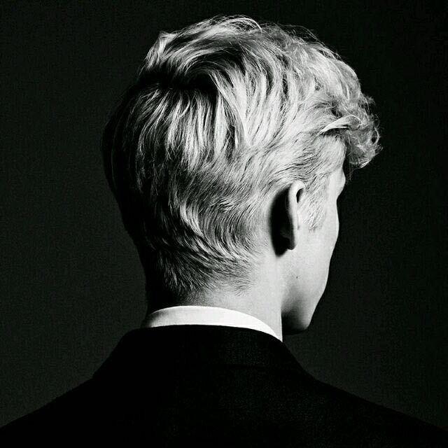 多米尼克萨多奇