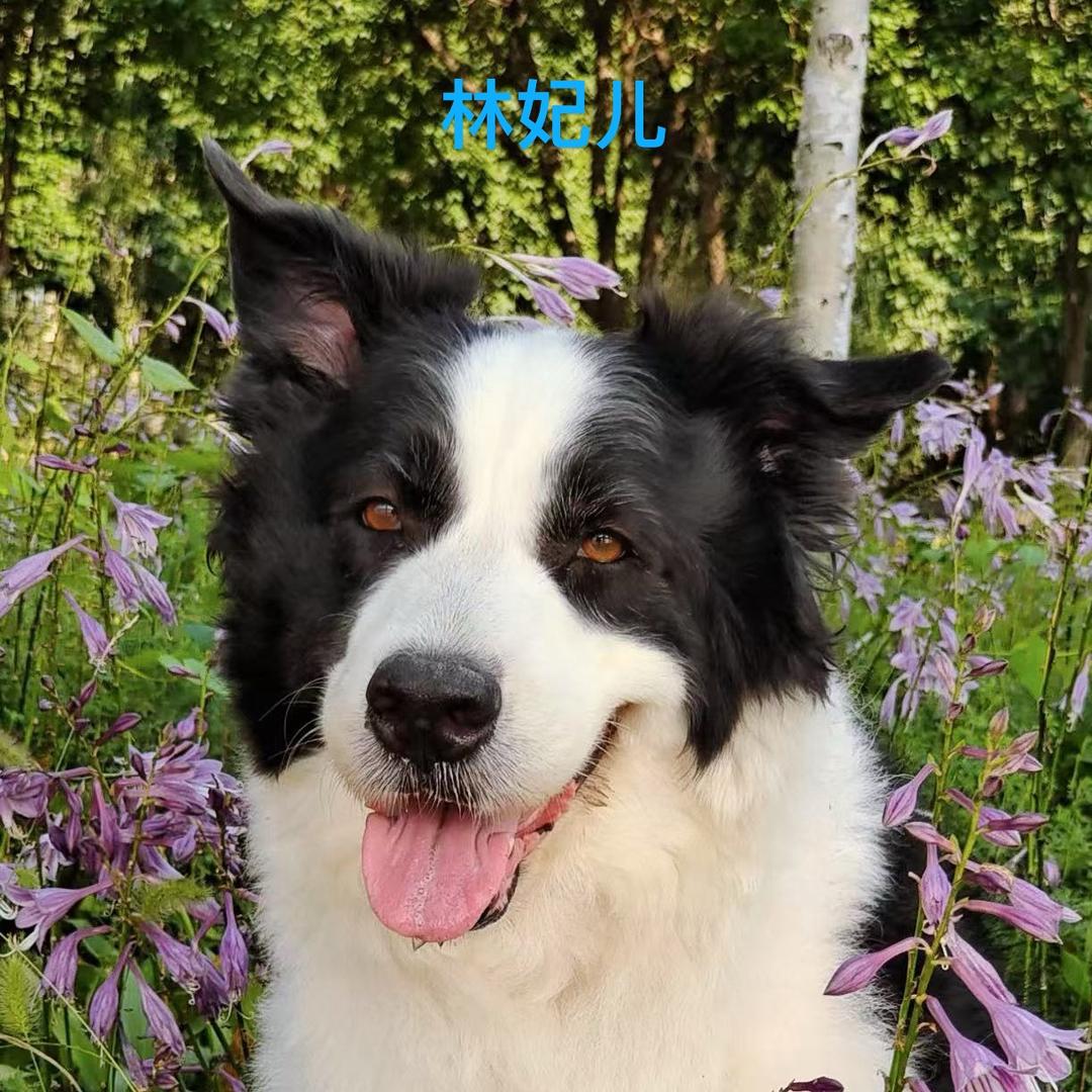奥特曼