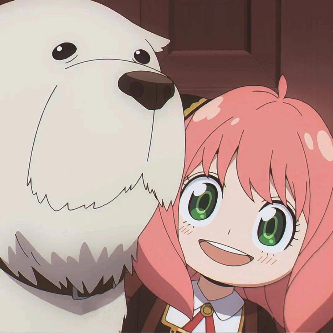 宋宋`