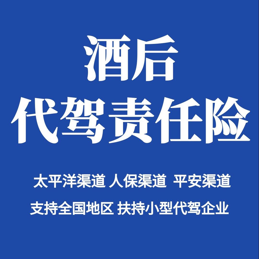 梦创代驾软件/代驾险