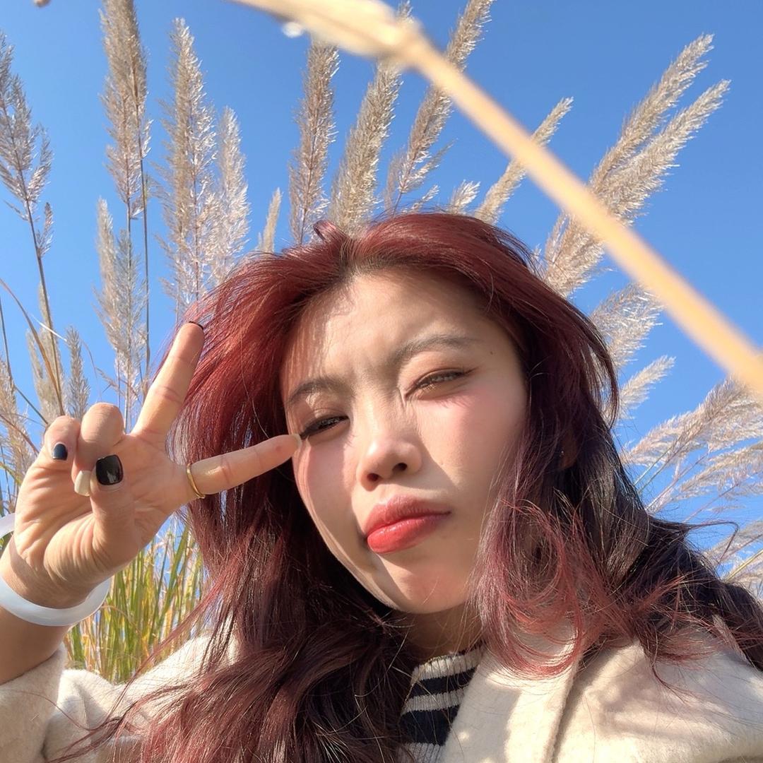 悲伤洋芋裹生菜🥬