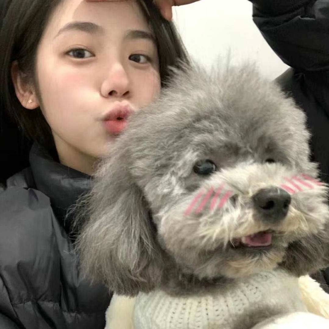小修狗不emo.