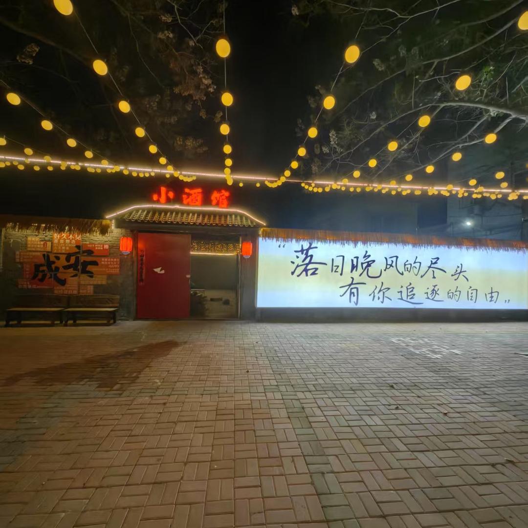 成安南环小酒馆