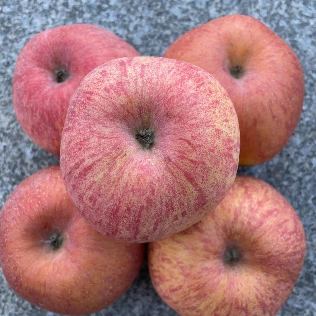 沙滩慢步（佛系）🍎🍎🍎🍎🍎