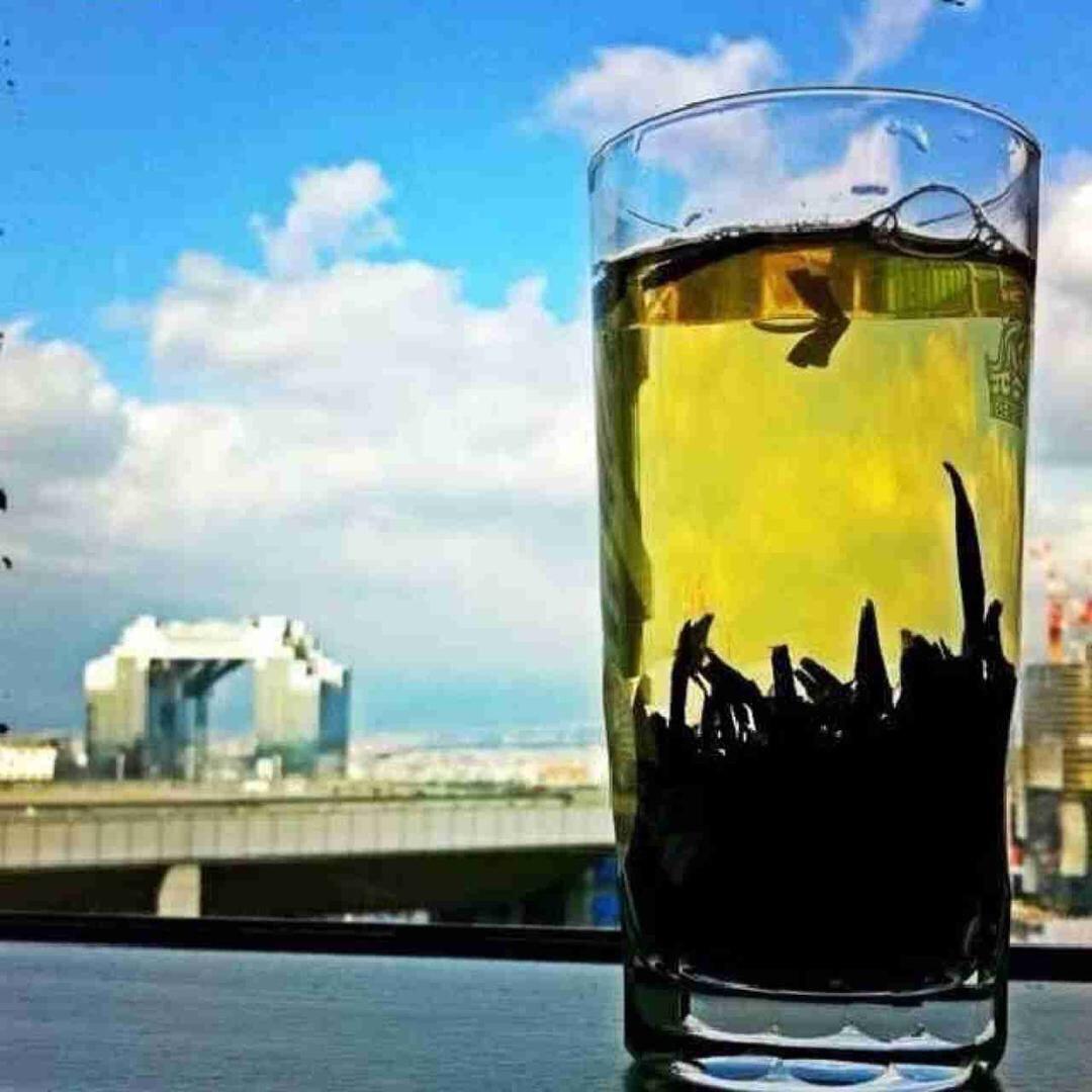 周游视界