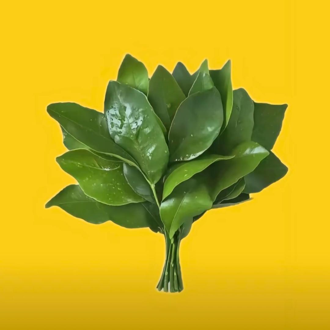 真的好懒