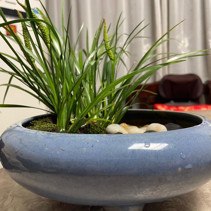 闲看庭前花开花落。