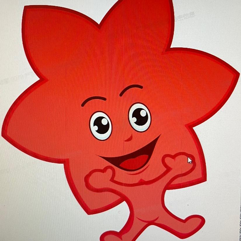 万小宝小米粒☘🌾