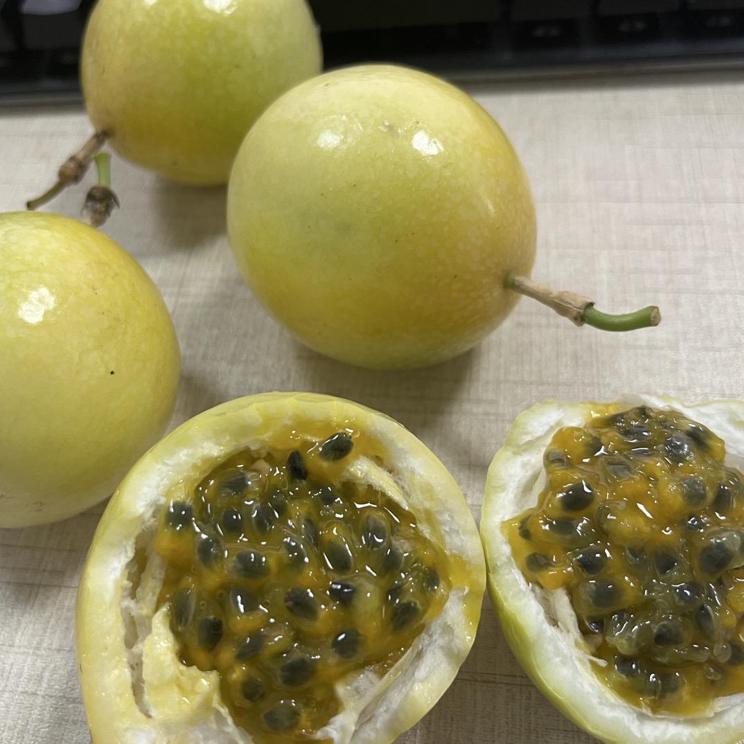 小林家百香果
