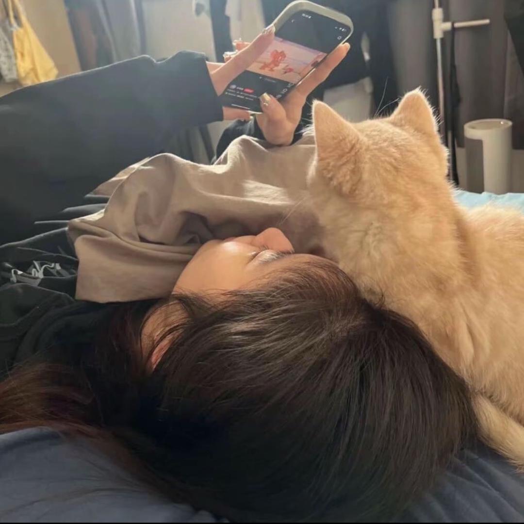 -凡不烦