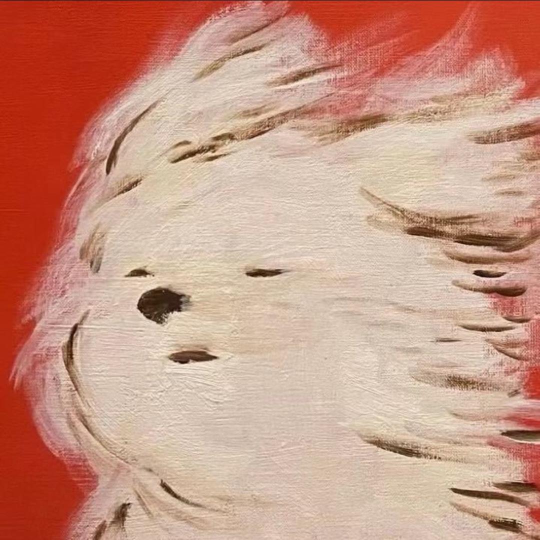 花心兔