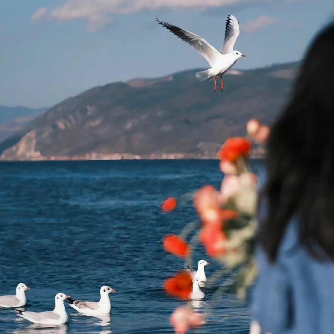 @偶尔也会发呆～