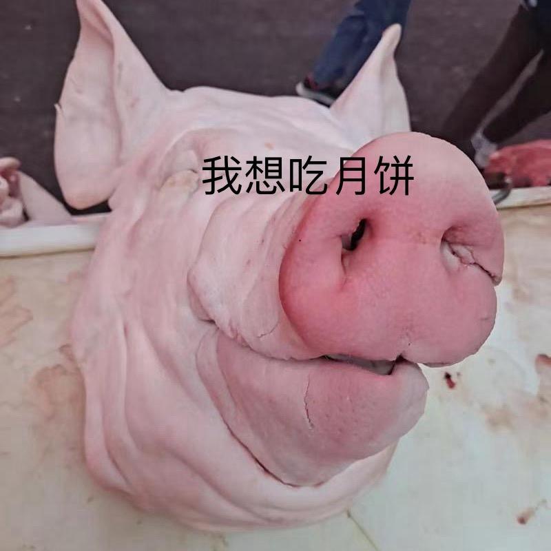 达子☔️