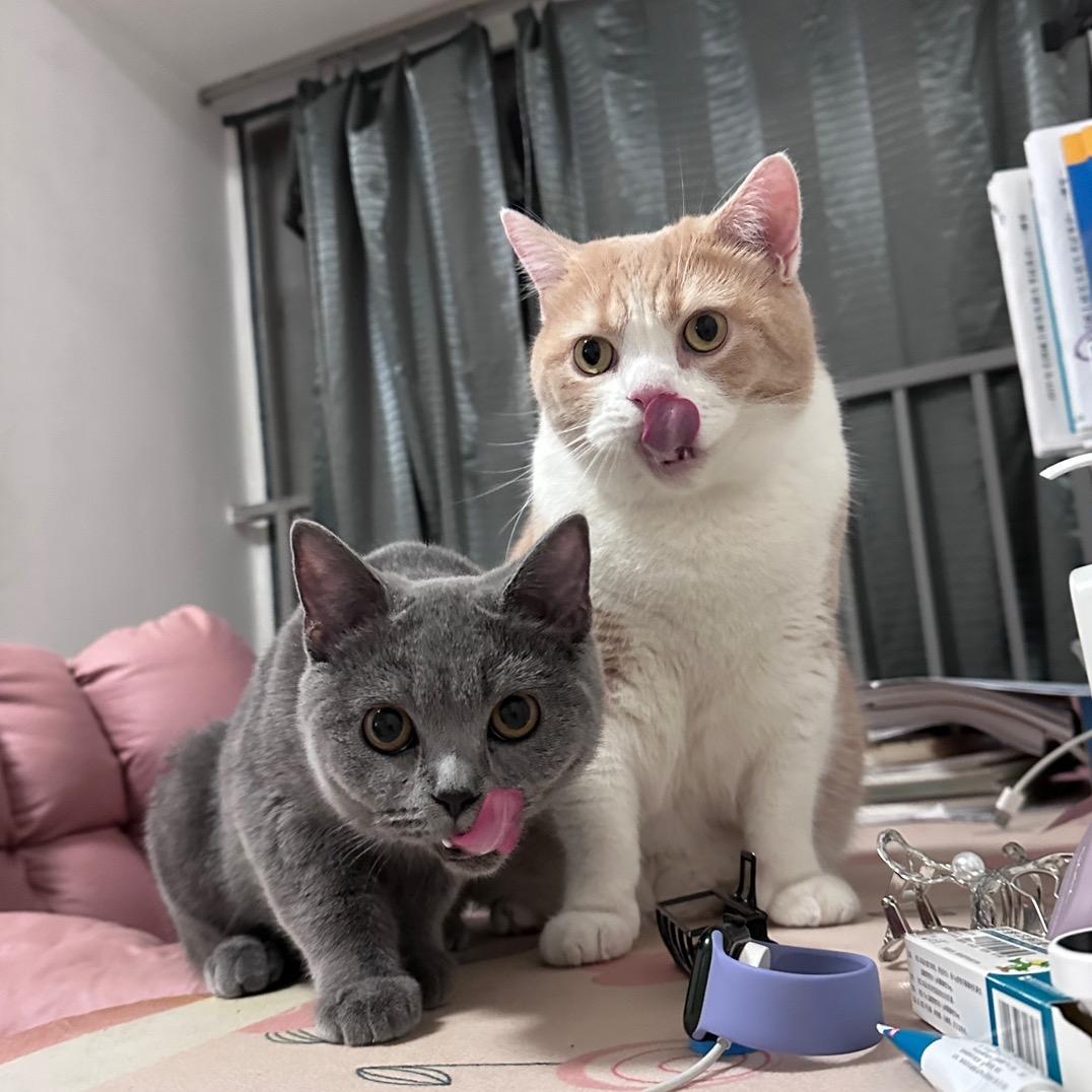 陈辣条（见过杰伦版