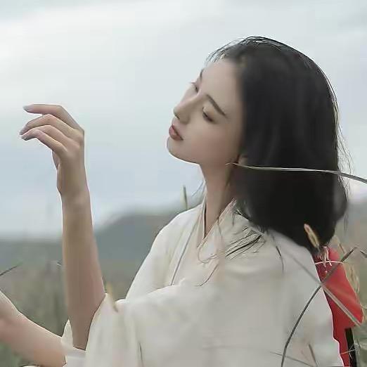 昙缘忆梦